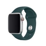 Λουράκι Apple Watch Series 6 & SE & 5 & 4 40mm Silicone Solid Color Watch Band Olive Green